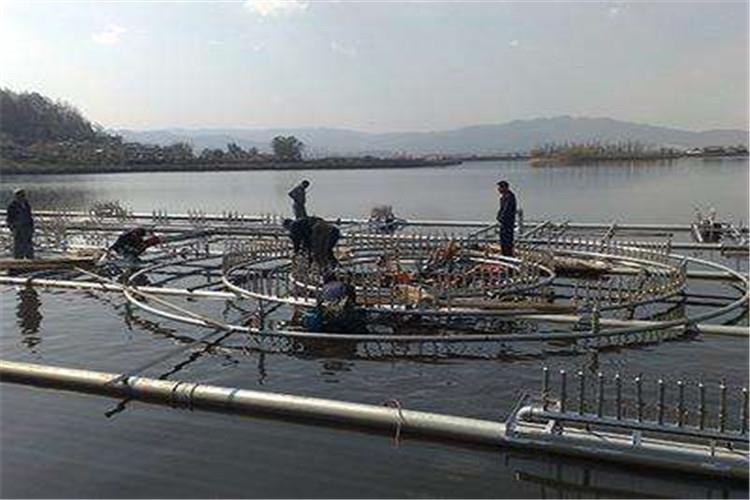 噴泉可謂是不可或缺的一類景觀小品，特別是漂浮噴泉，因造型優美、變幻莫測