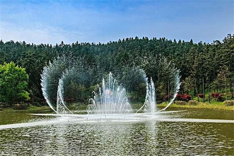 公園噴泉水景造型豐富，可觀性強。噴泉可形成壯觀的聲效景觀，配合音樂更為動聽，可以形成各種造型，活潑、壯觀絢麗多彩的夜景景觀，是夜晚欣賞的主題